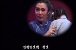 华子良