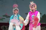 蒲剧火焰驹表花