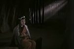窦娥冤 片段