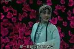 蒲剧焚香记打神告庙 片段