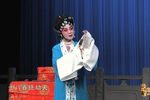 双玉婵悲婵 片段