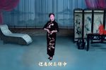 双玉蝉阵阵群雁过长空 片段