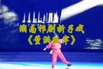 祁剧董洪跌牢  片段