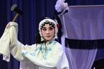 湘剧大劈棺  片段