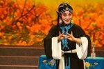 湘剧烂柯山痴梦 片段