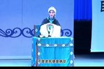 湘剧琵琶记描容上路 字幕