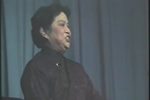 红梅赞授红旗