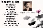 苏州评弹莺莺操琴