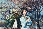 淮海戏红楼梦