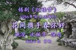 红楼梦 花间携手春怀好 片段