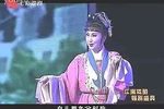 珍珠塔 后园会 片段
