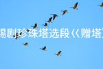 锡剧珍珠塔 选段赠塔 片段