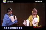 珍珠塔后园会 片段