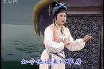 贤妻良母 全剧