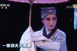 珍珠塔 片段