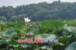 买你怀抱三滴水 片段