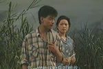 淮剧难咽的苦果 B