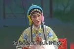 淮剧淮剧梁国英代表唱段集锦（二） 片段