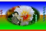淮剧弄潮儿 片段