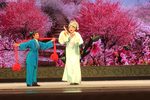 扬剧梁祝回十八 片段