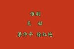 淮剧珍珠塔前见姑 片段