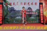 淮剧黛玉葬花 片段