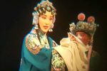 扬剧百岁挂帅 片段