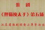狸猫换太子