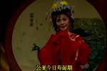 打金枝