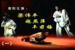 杨乃武与小白菜