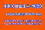 碧血佳人情变