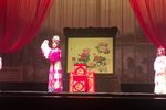 淮剧打金枝闯宫 片段
