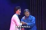 淮剧梁国英代表唱段集锦（三） 片段