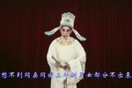 扬剧梁祝回十八 片段