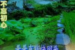 哑女告状赴京 片段