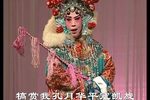 女审
