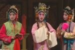 春草闯堂 第1集