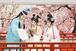 红楼梦