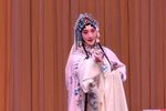 昆曲牡丹亭 游园 片段