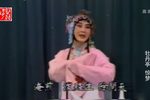 牡丹亭 惊梦