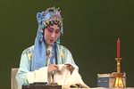 疗妒羹题曲