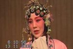 牡丹亭 惊梦 片段
