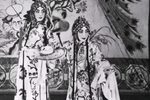 游园惊梦（牡丹亭）