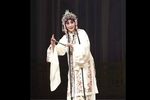 昆曲牡丹亭 寻梦
