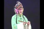 昆曲牡丹亭 寻梦 片段