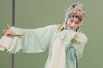 昆曲牡丹亭 寻梦