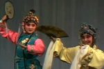 牡丹亭 游园 片段