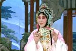 牡丹亭 游园 片段