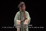 牡丹亭寻梦