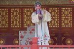 牡丹亭 惊梦